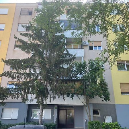 New Two Bedroom Apartment Maloni 普拉 外观 照片